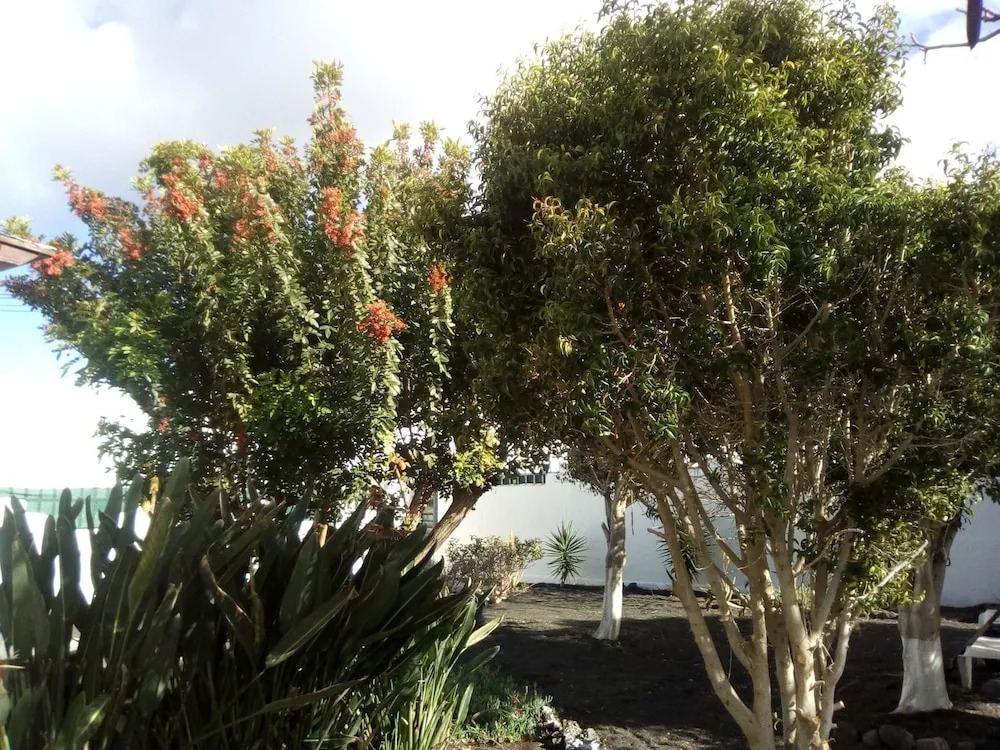 House With 2 Bedrooms in Guatiza, With Furnished Terrace and Wifi - 5 km From the Beach
