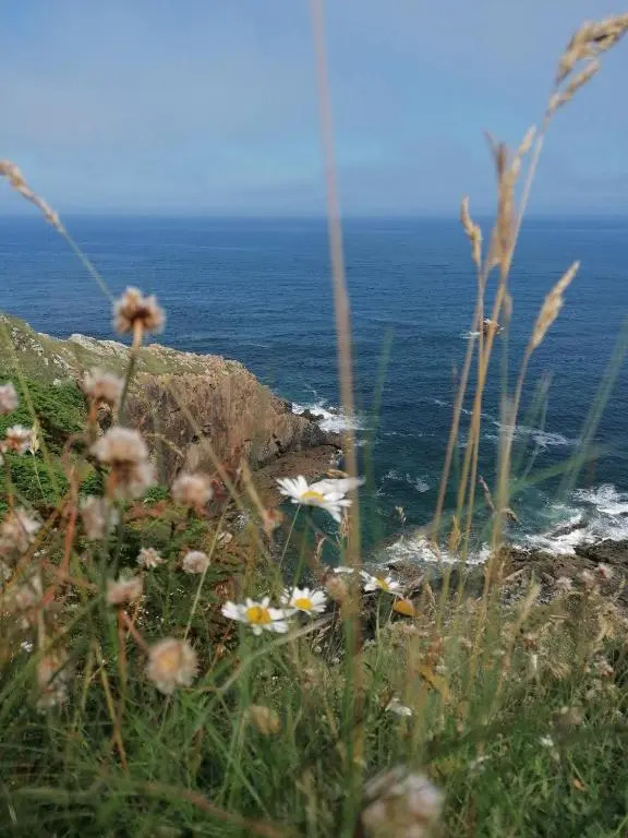 Morlaix : Superbe appartement en résidence