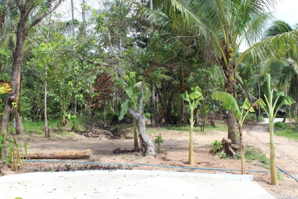 Phangan Green Village