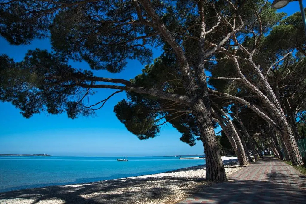 Happy Camp mobile homes in Centro Vacanze Bi Village