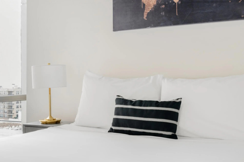 Chicago | Beautiful Studio South Loop Apartment