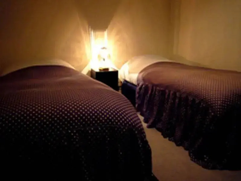 Mt Fuji B&B PENSION LE LAGON