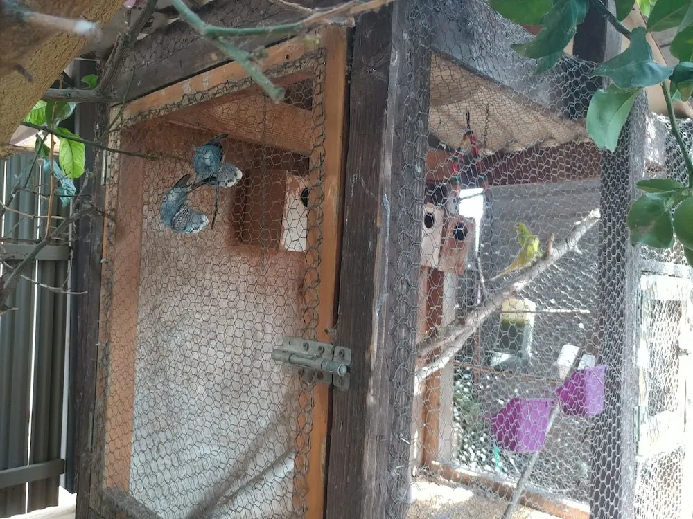 Assaf's Cabin