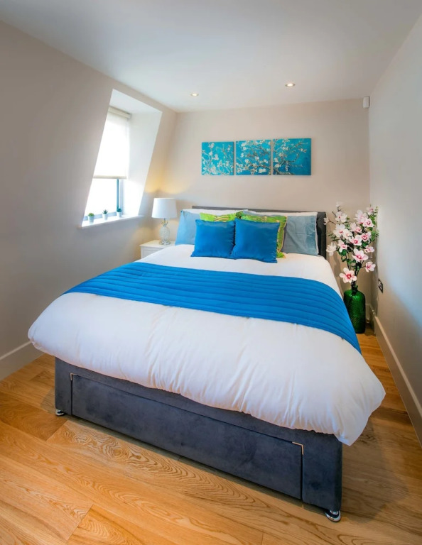 Luxury Central Reading Apartment 1 bed. Satellite TV. Wi-Fi