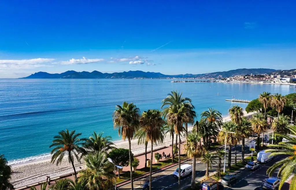 Splendid Apartment, Sea View, Parking - Croisette