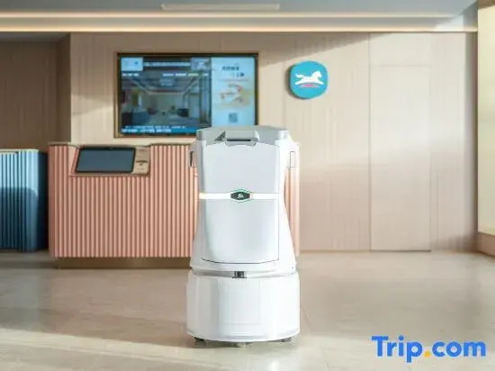 HanTing Hotel (Shanghai Pudong International Airport Core Area Wenju Road)