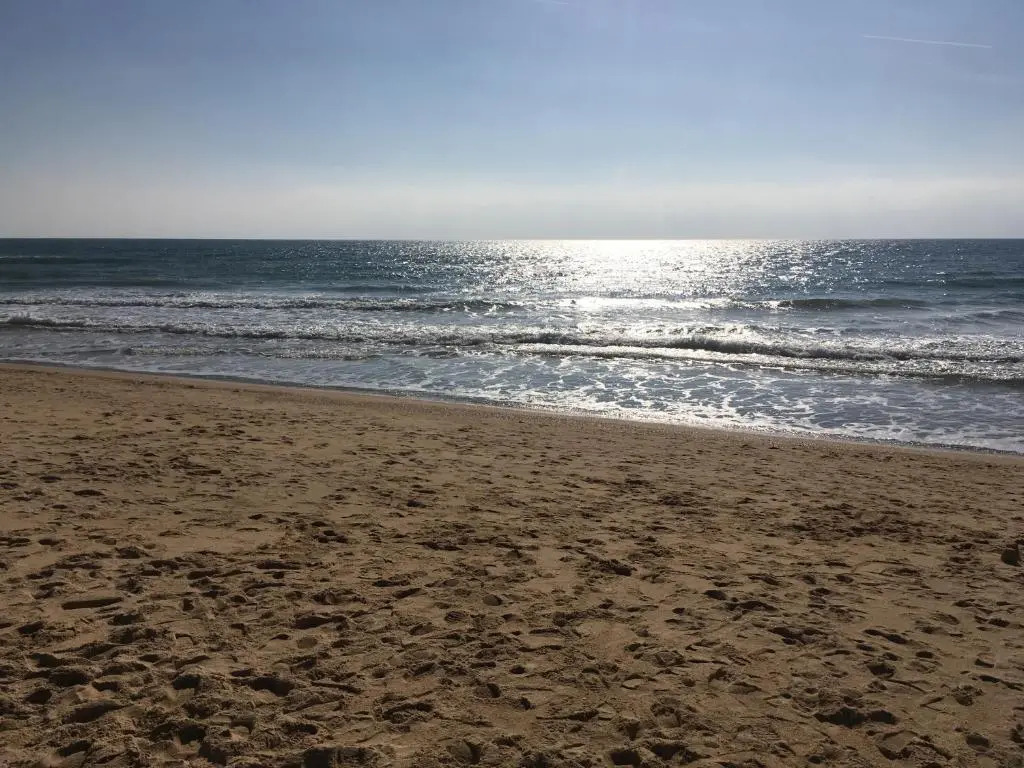 Alfamar2108