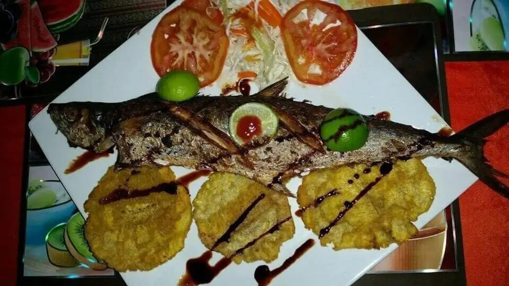Hotel Playa