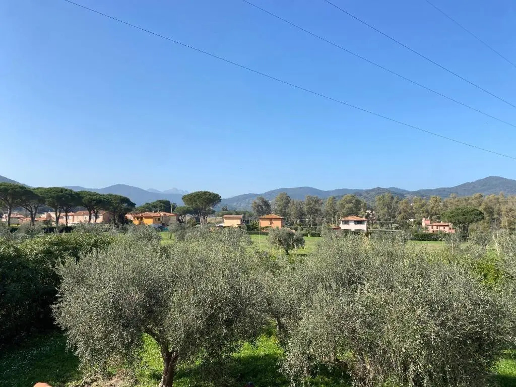 RESIDENCE TERME ISOLA DELBA SRL