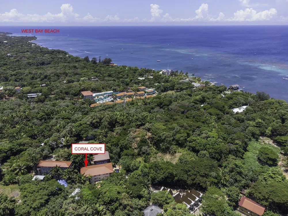 Coral Cove At Jardines De Catalina 1 Bedroom Condo by RedAwning