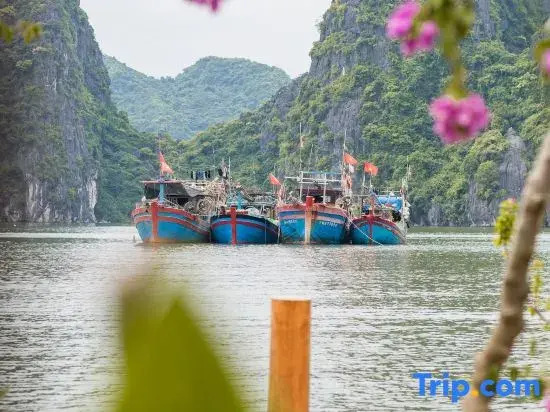 Lan Ha Floating Homestay