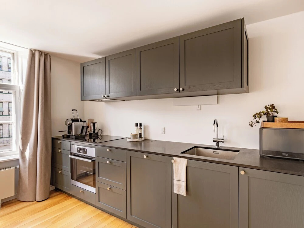 Regent 15 - Bright 1 Bdr Apt Right in the Centre of Copenhagen