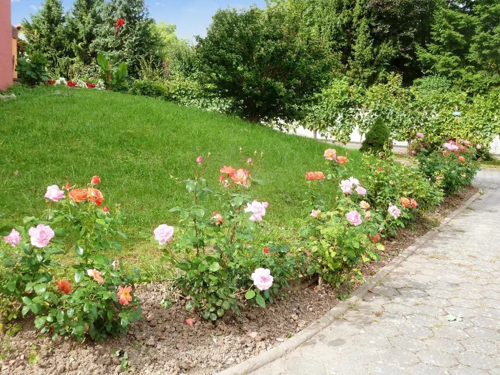 Appartement spacieux à Epfig avec vue sur le jardin