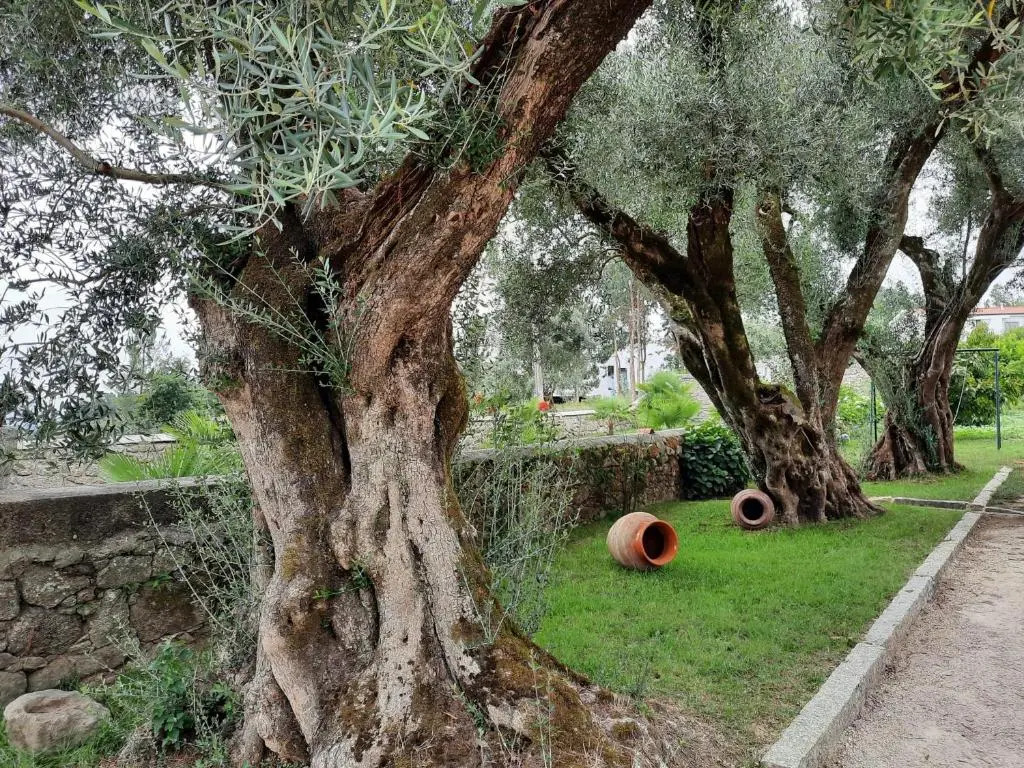 Quinta de Castelhão