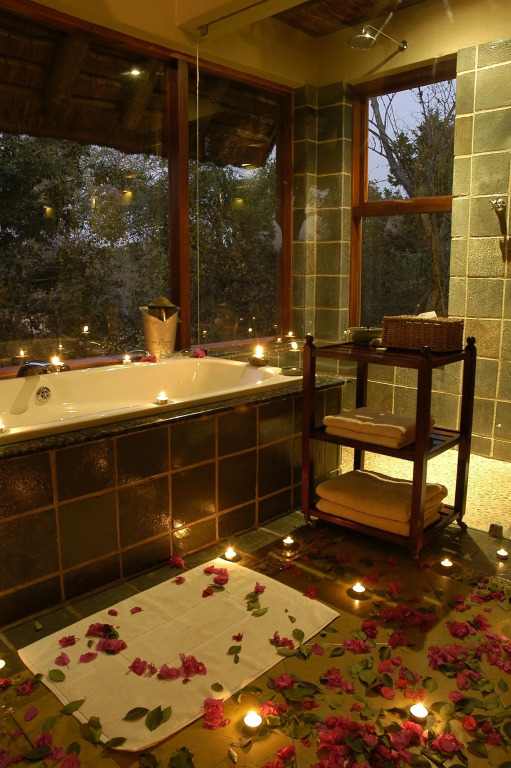Thornybush Game Lodge