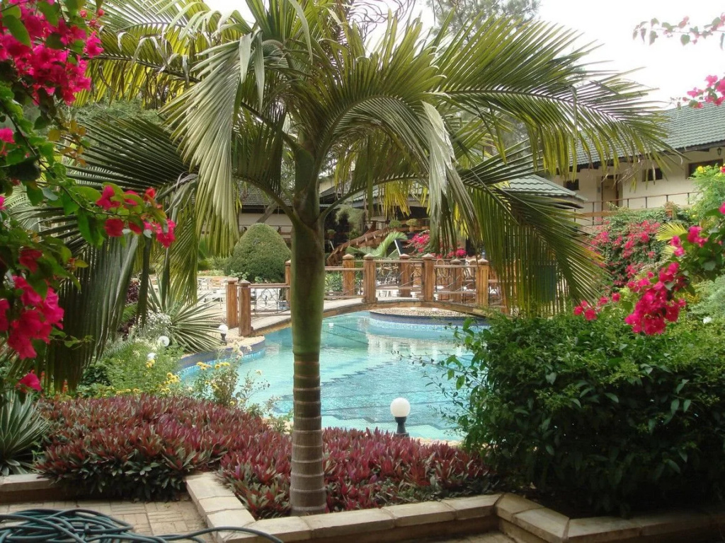New Dodoma Hotel