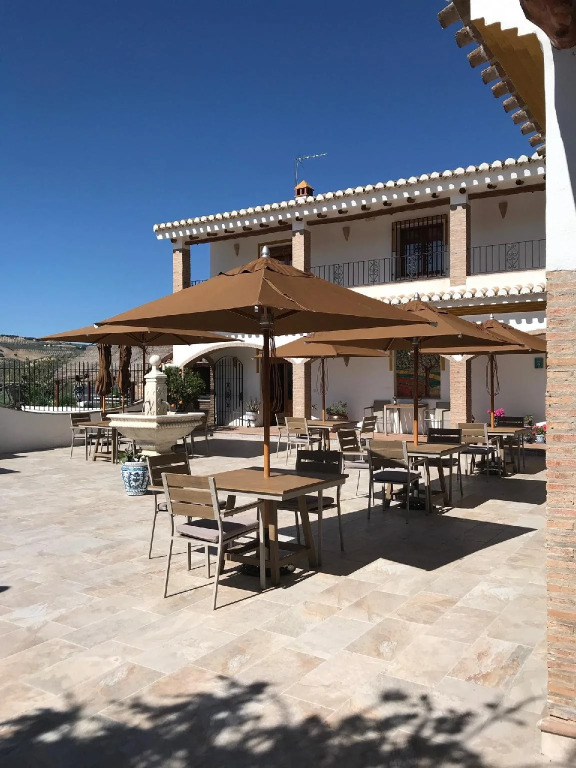 Lemon Tree Retreat at El Amparo