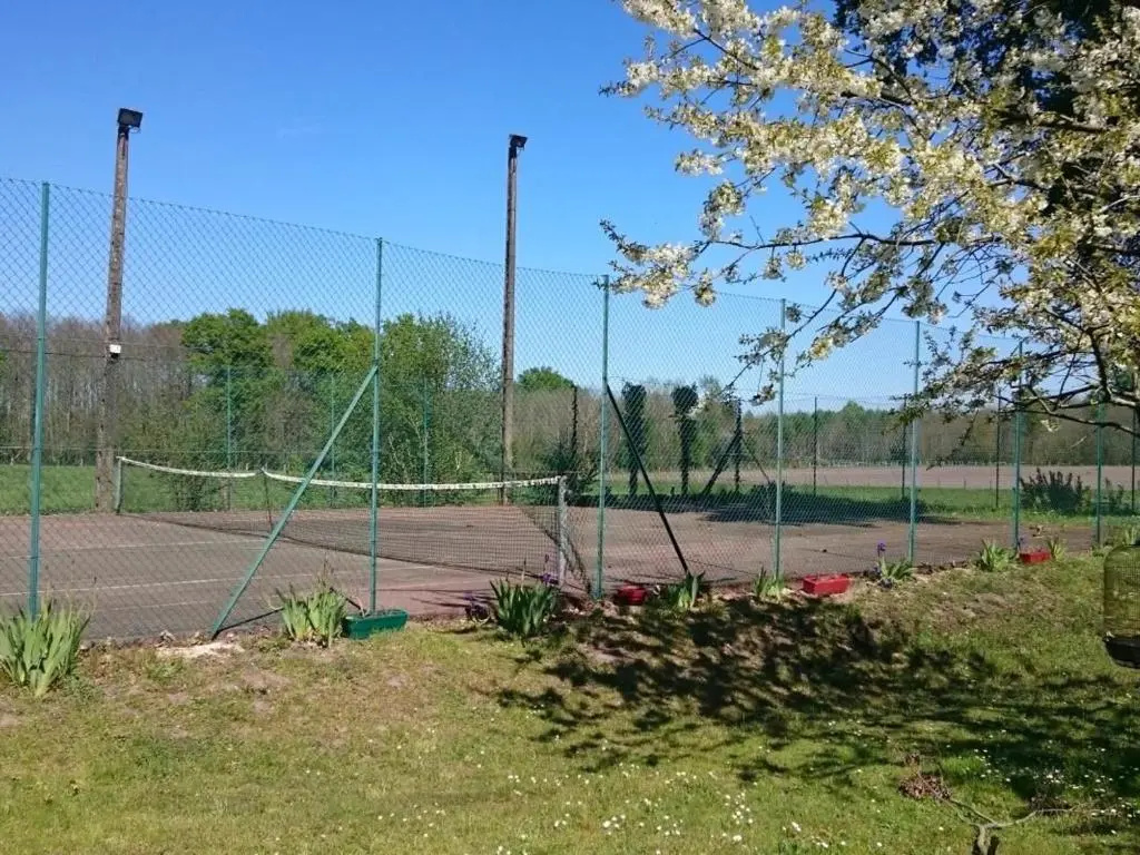 Gîte spacieux avec salle de jeux, tennis et cheminée, idéal pour familles et amis jusquà 15 pers. - FR-1-410-223