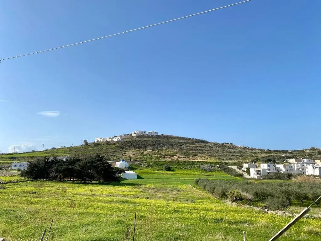 Olive House Apartment Paros