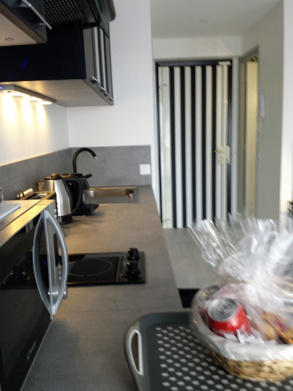 Brand new studio in the heart of Cannes