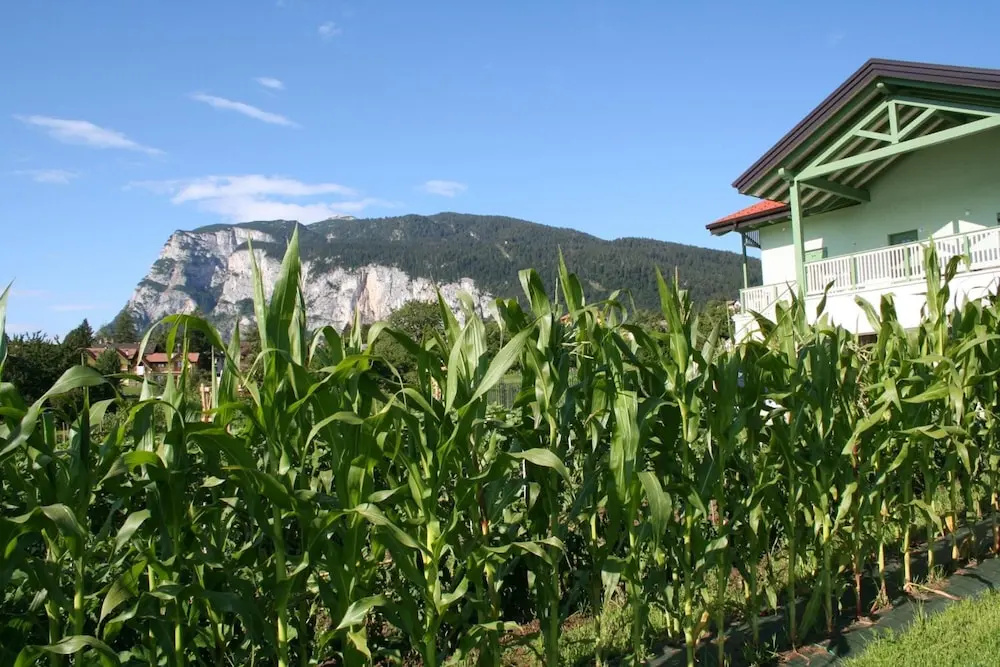 Agriturismo Florandonole