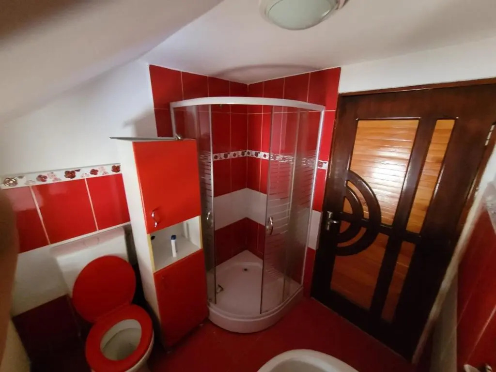 Rustic Hostel Vidra