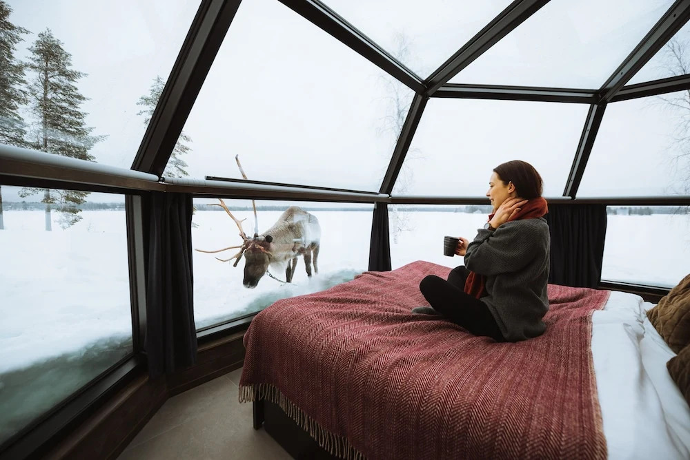 Ranua Resort Arctic Igloos