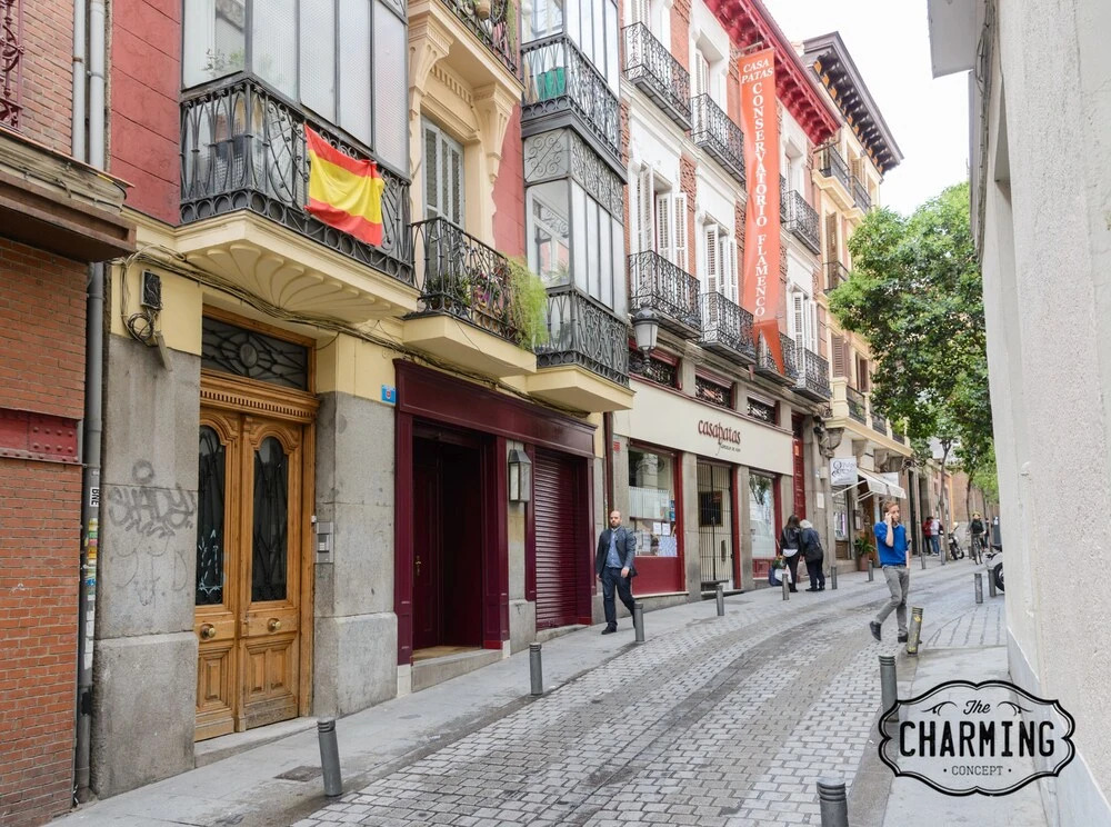 Charming Puerta del Sol II