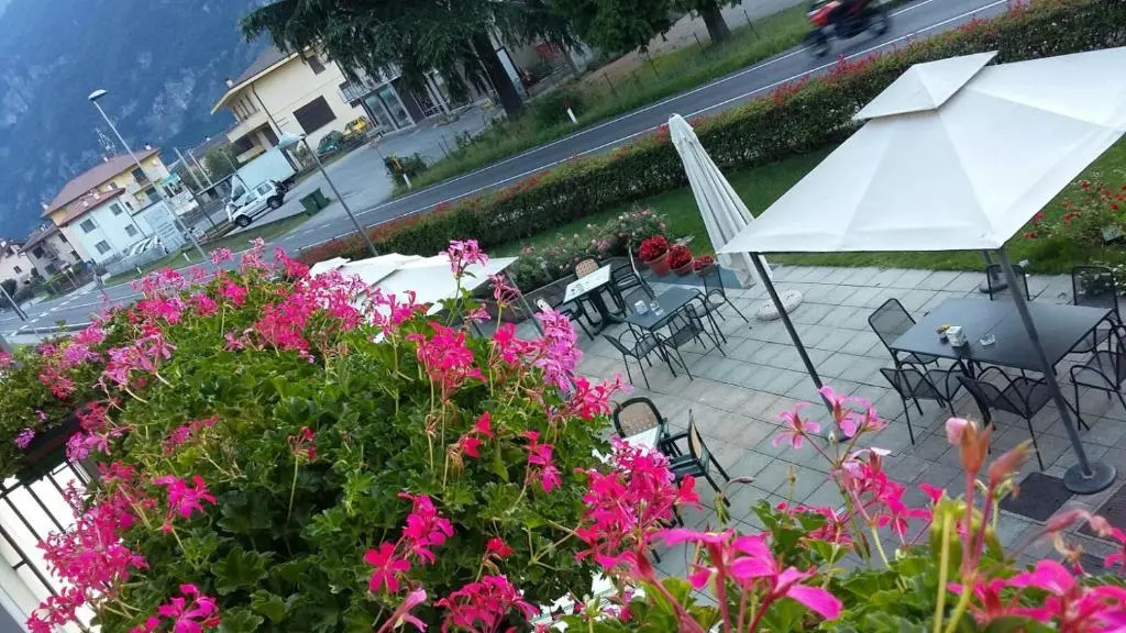 La Vigneta