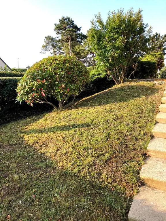 Les pierres de Lecq