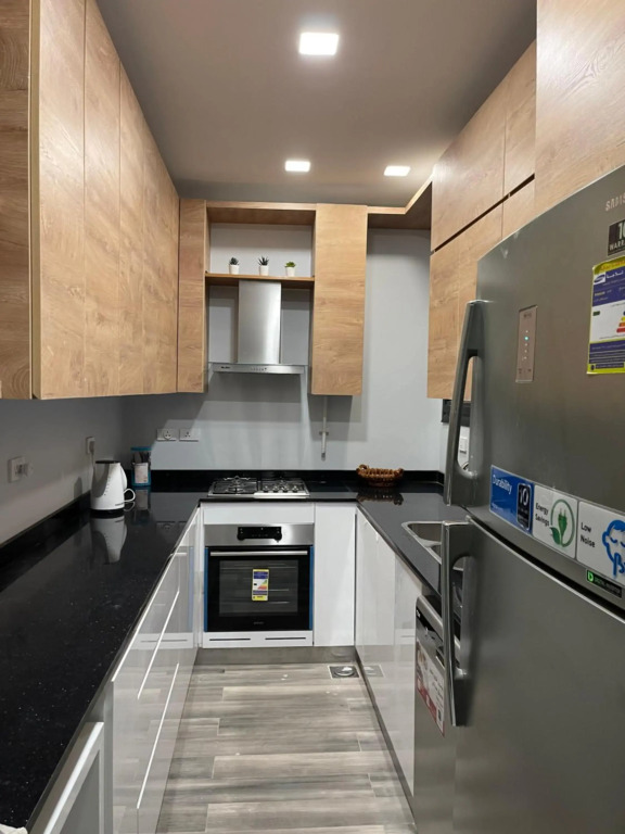 Midtown Penthouse with roof