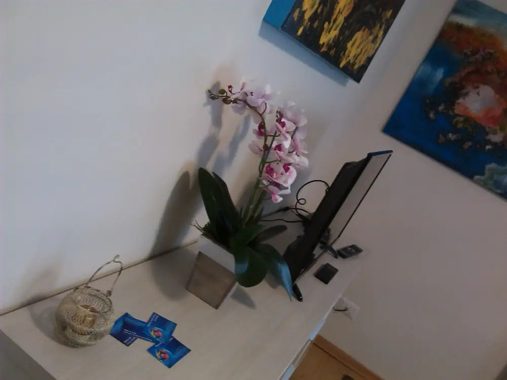 Appartamento Orchidea