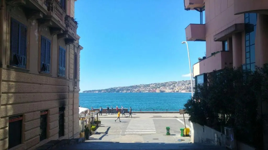 NAPOLIXSUITE
