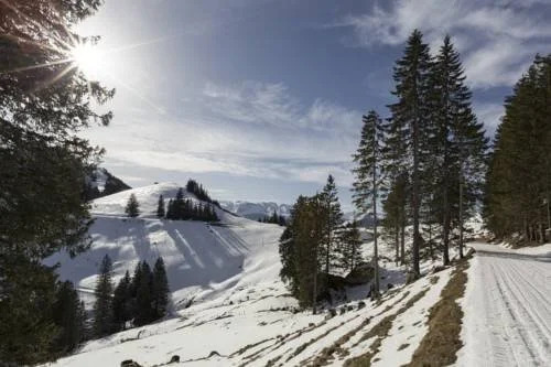 Hotel Rigi First