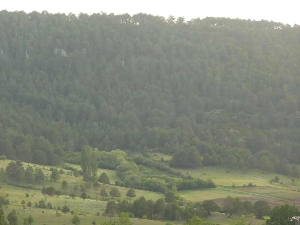 El Refugio