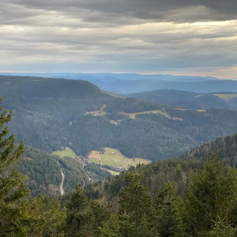 Schwarzwald Wohnung Kniebis