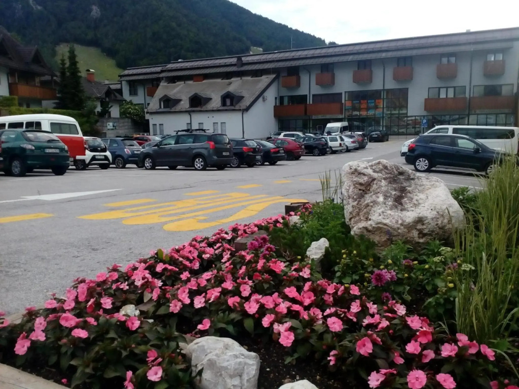 Apartma Smreka 145