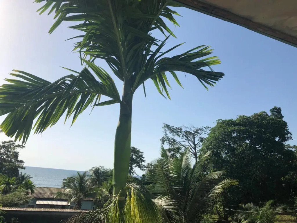 Residence L Oceane
