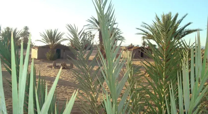 Sahara du Sud