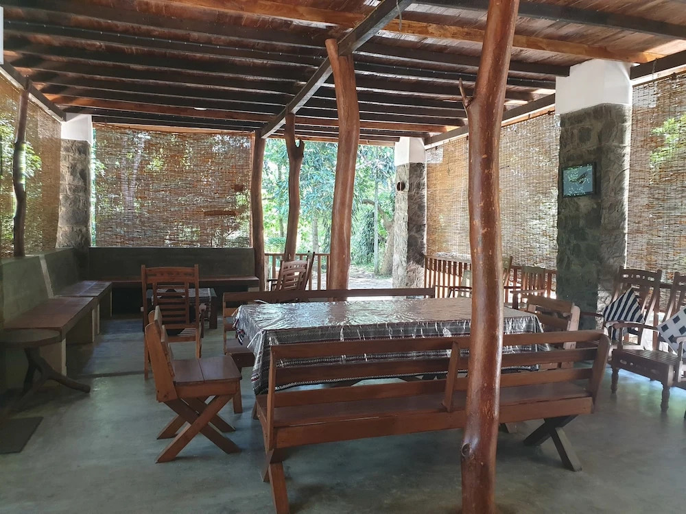 Jungle House