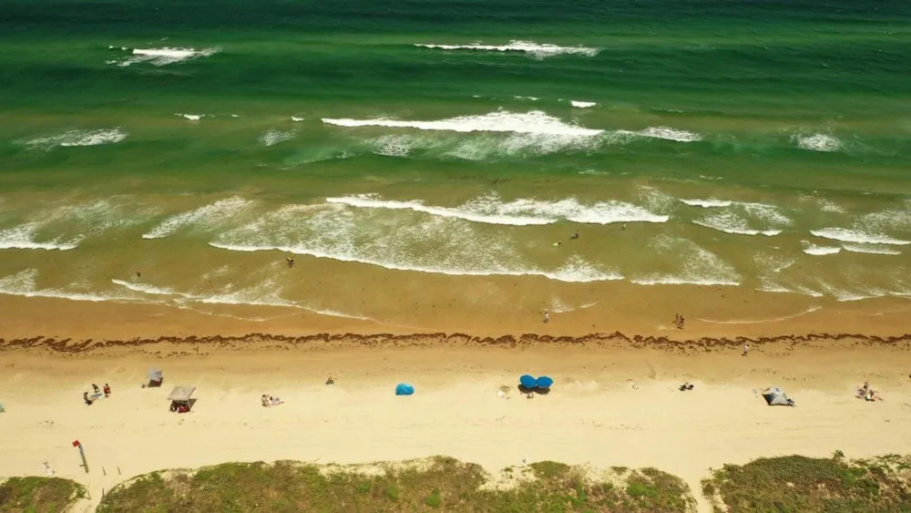 Edgewater 501 by Padre Island Rentals