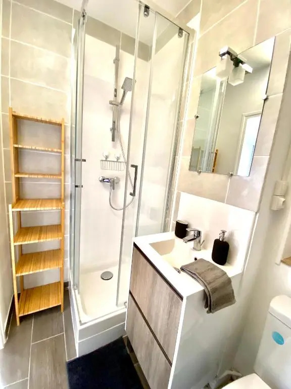 6- Appartement de 2 pièces refait à neuf en centre ville
