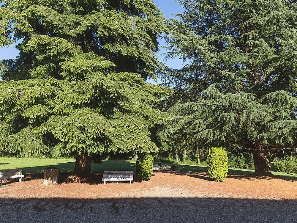 Gorgeous Manor With Private Heated Swimming Pool, in the Heart of an oak Forest