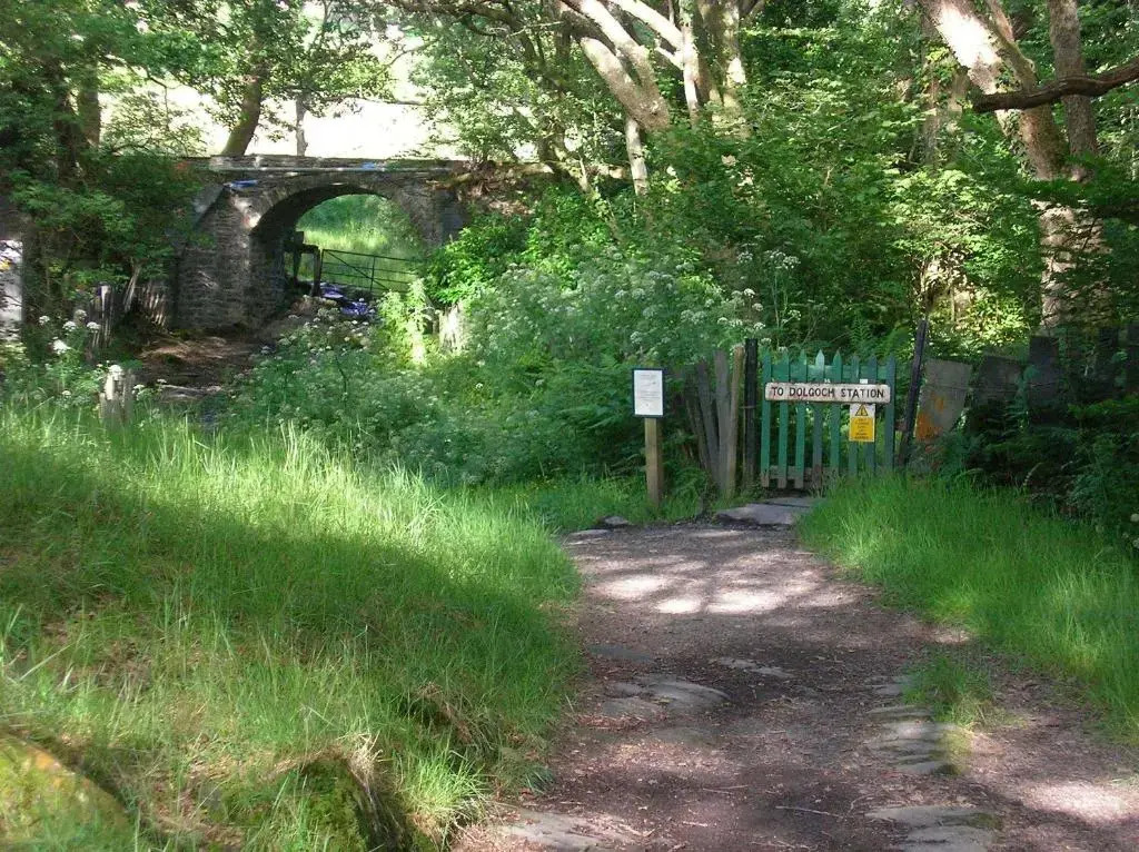 The Dolgoch