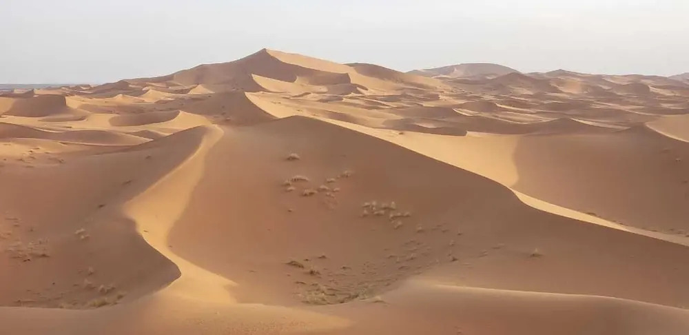 sahara desert camp