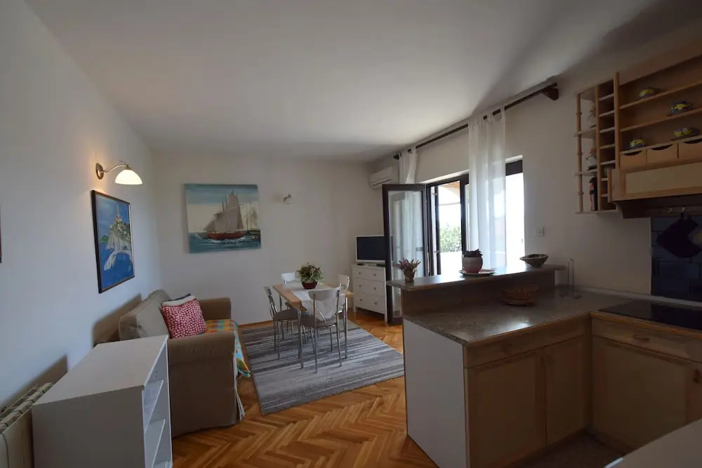 Apartment and Room Mila