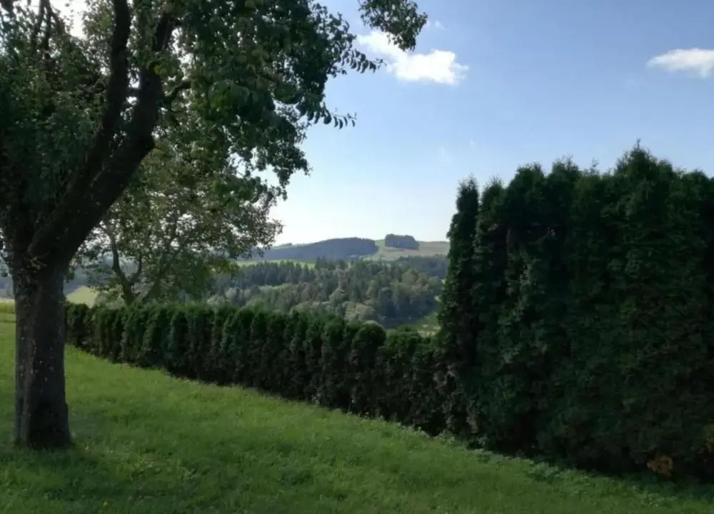 Cozy Holiday Home in Grossbreitenbach near Schwarza Valley