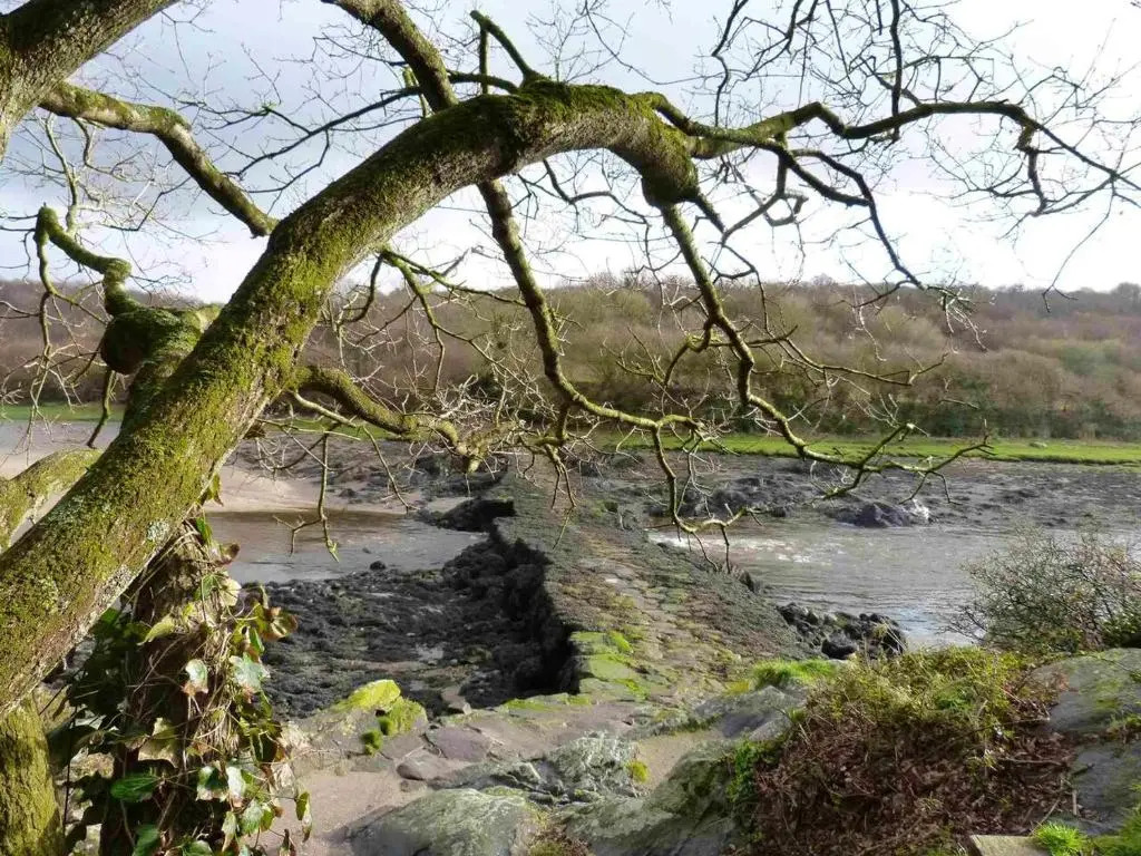 Maison de 2 chambres avec wifi a Plouguerneau