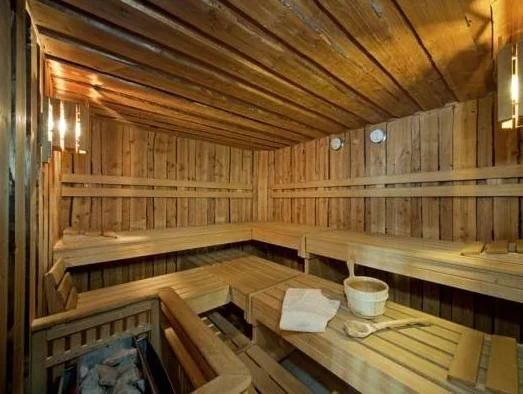 Adler Adelboden