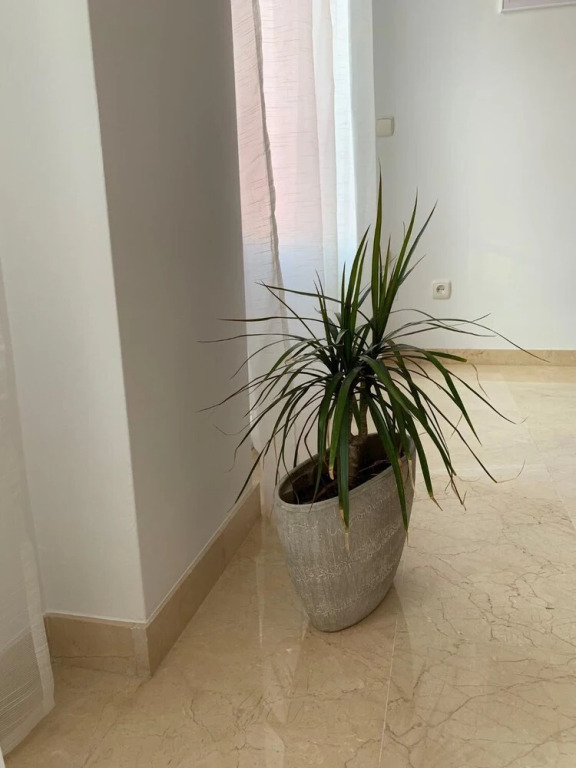 Turistic Home Agua